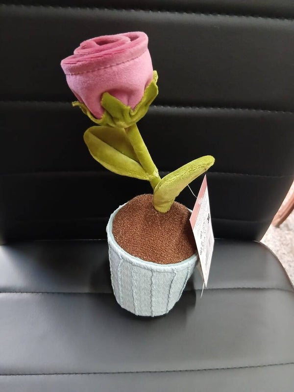 Pianta finta nuova