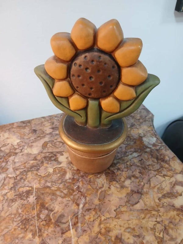Pianta girasole Thun senza scatola