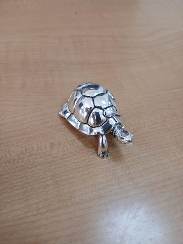 Tartaruga in argento