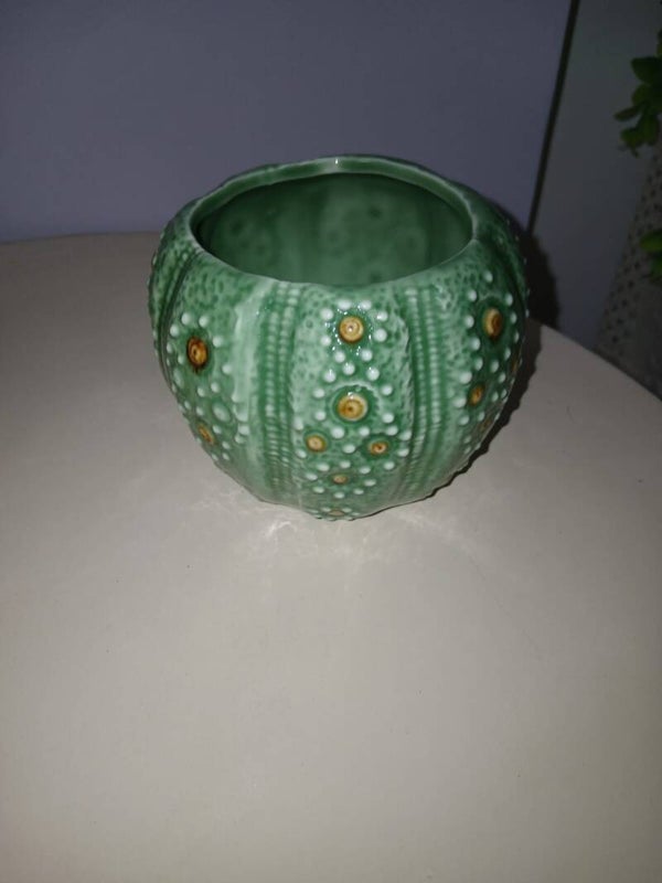 Vasetto cactus