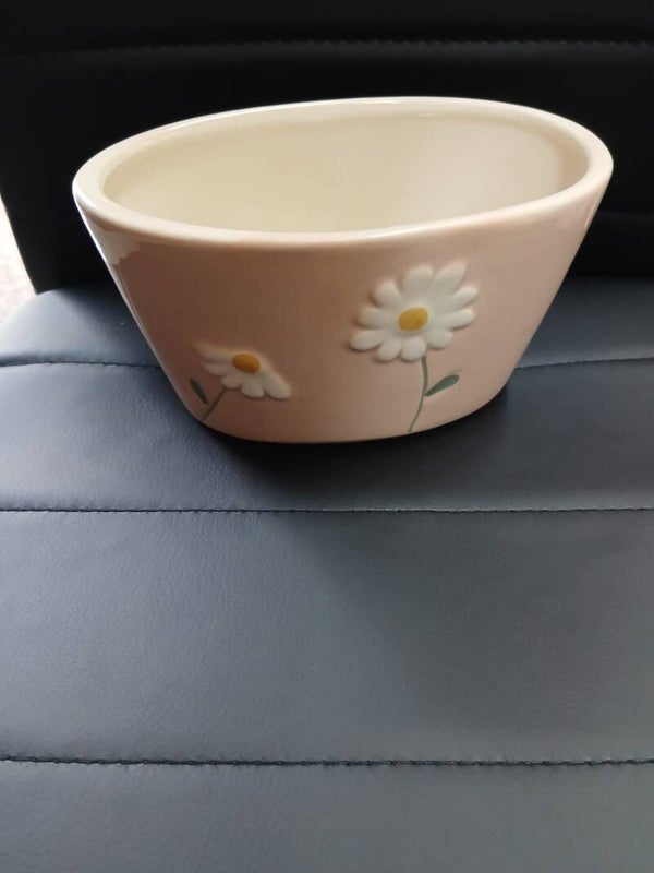 Vasetto in coccio rosa con Margherite