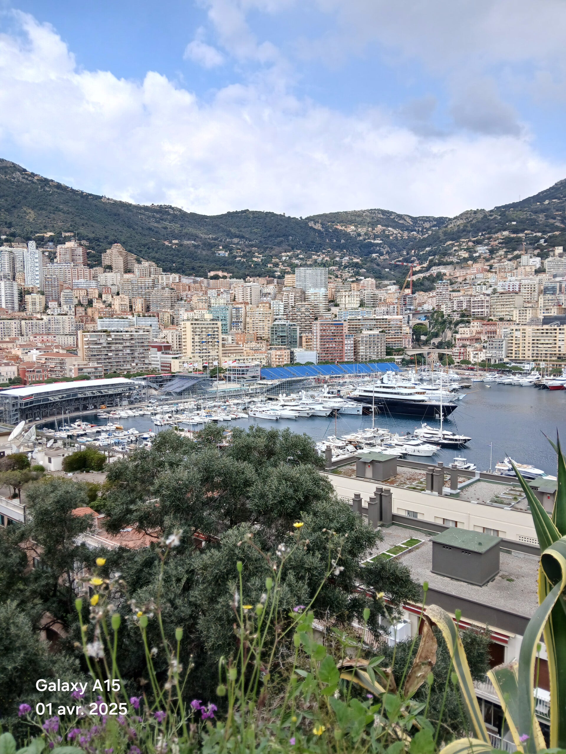 Monaco F1