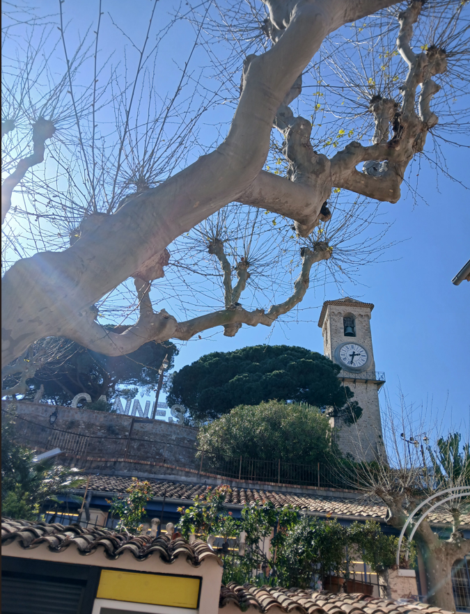 Le Suquet Cannes