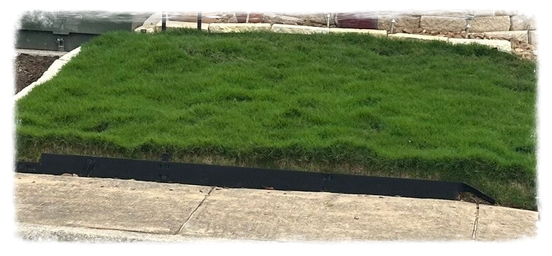 Sod and/or Seeding