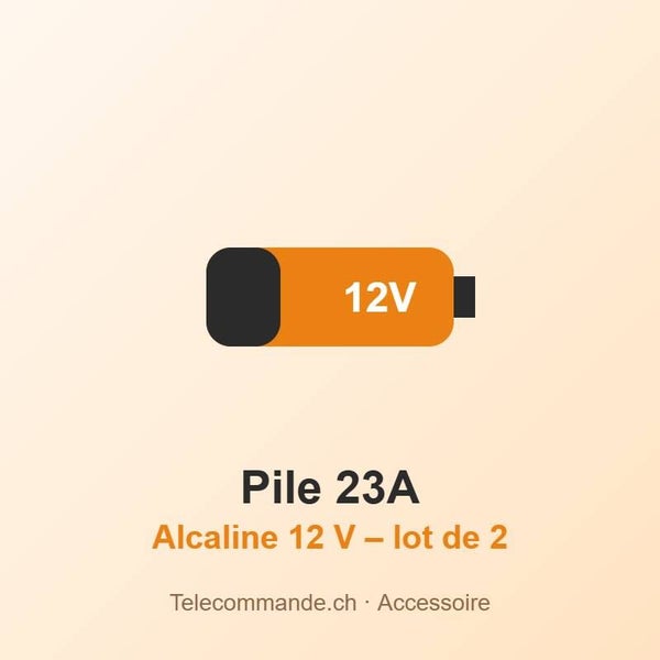Pile alcaline 23A 12 V (A23, MN21) – lot de 2