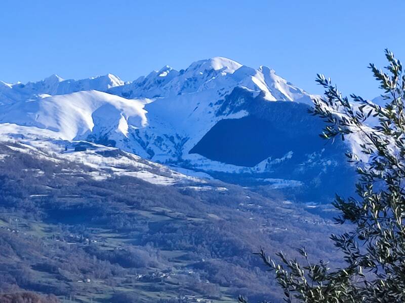 Le léviste, vu du gîte