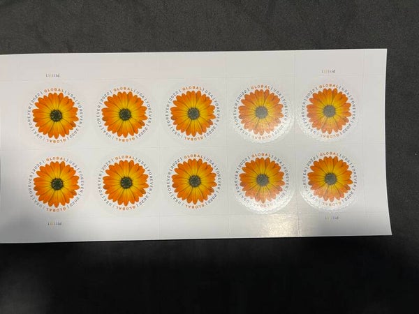 Global International African Daisy Pane/sheet containing 10  Stamps MNH