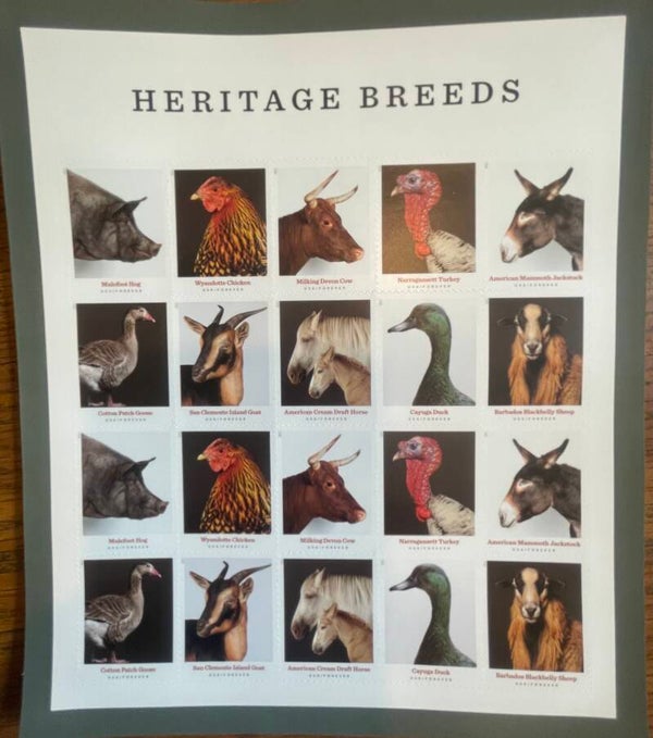 Heritage Breeds Full Sheet Pane of 20 Forever Stamps 2021
