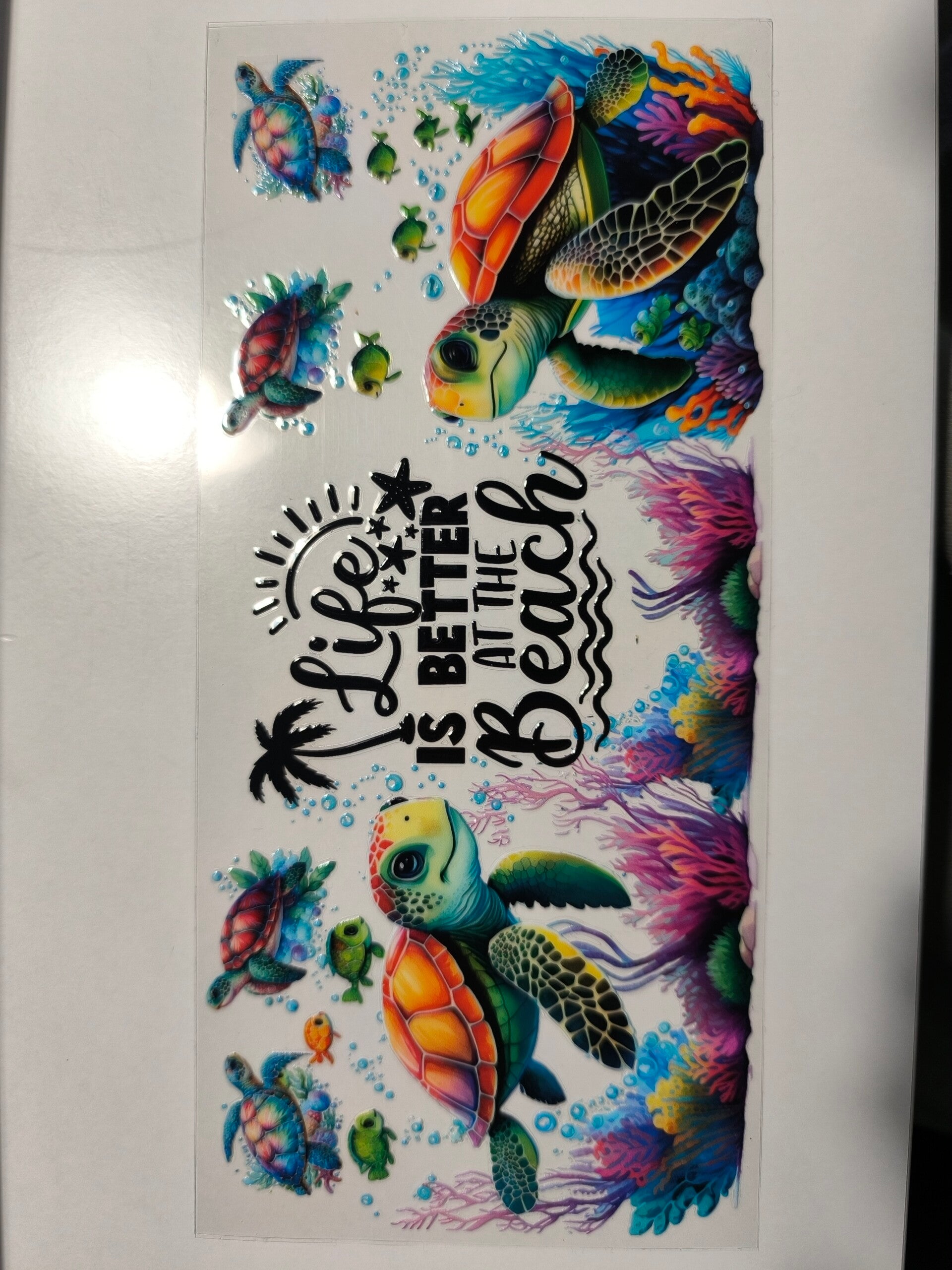 RubOn "360°" 21 - Schildkröten