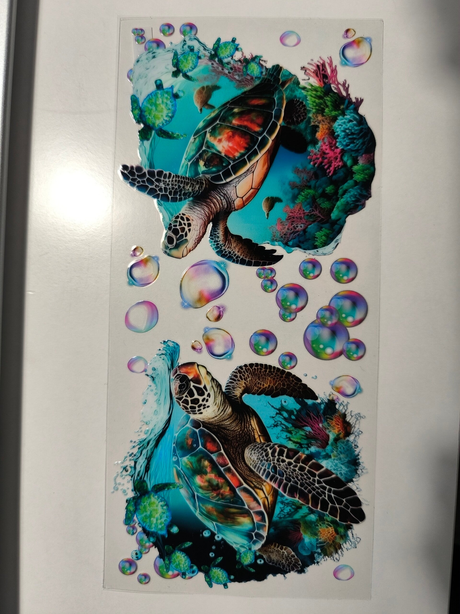 RubOn "360°" 23 - Schildkröten