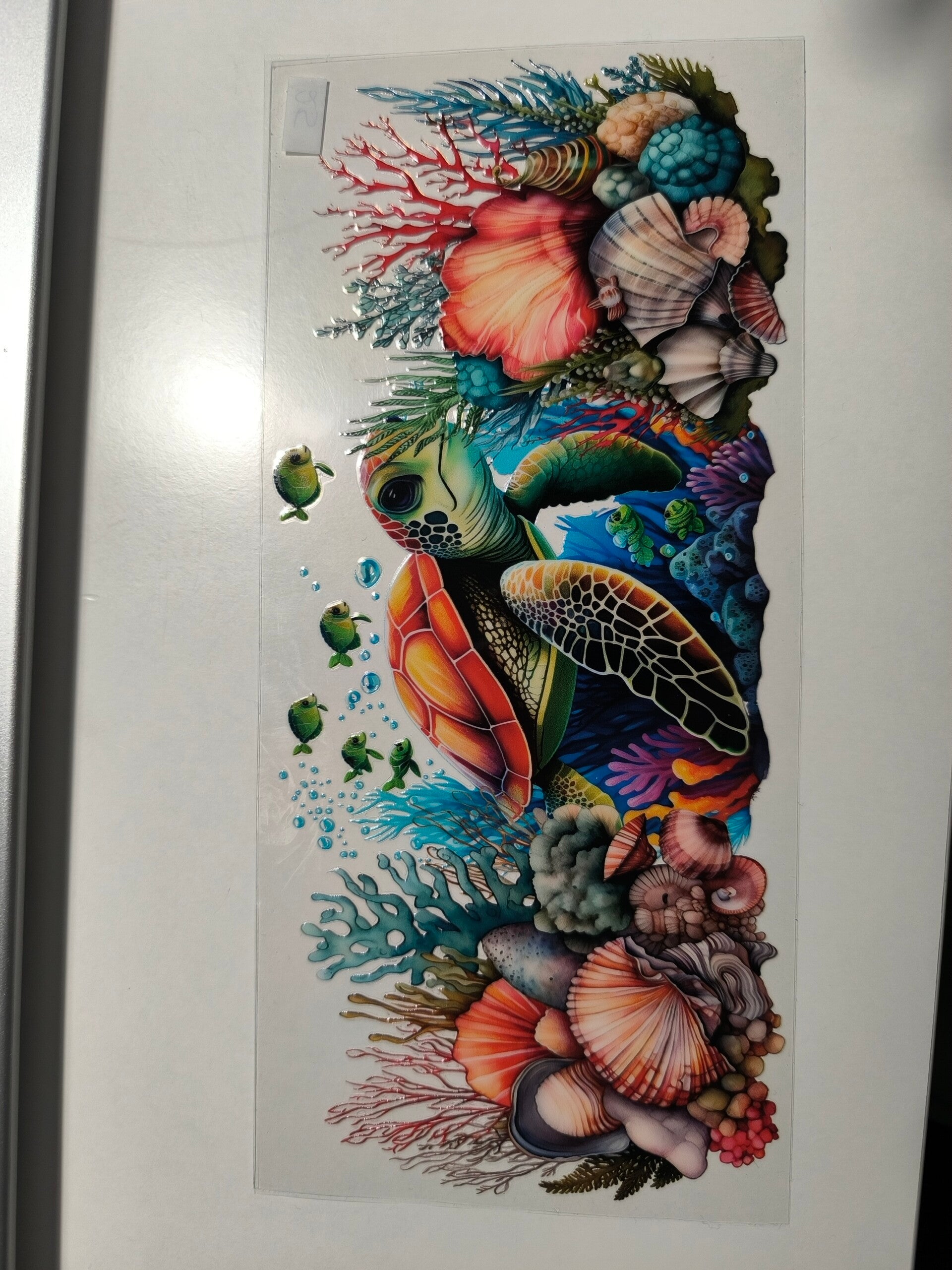 RubOn "360°" 25 - Schildkröten