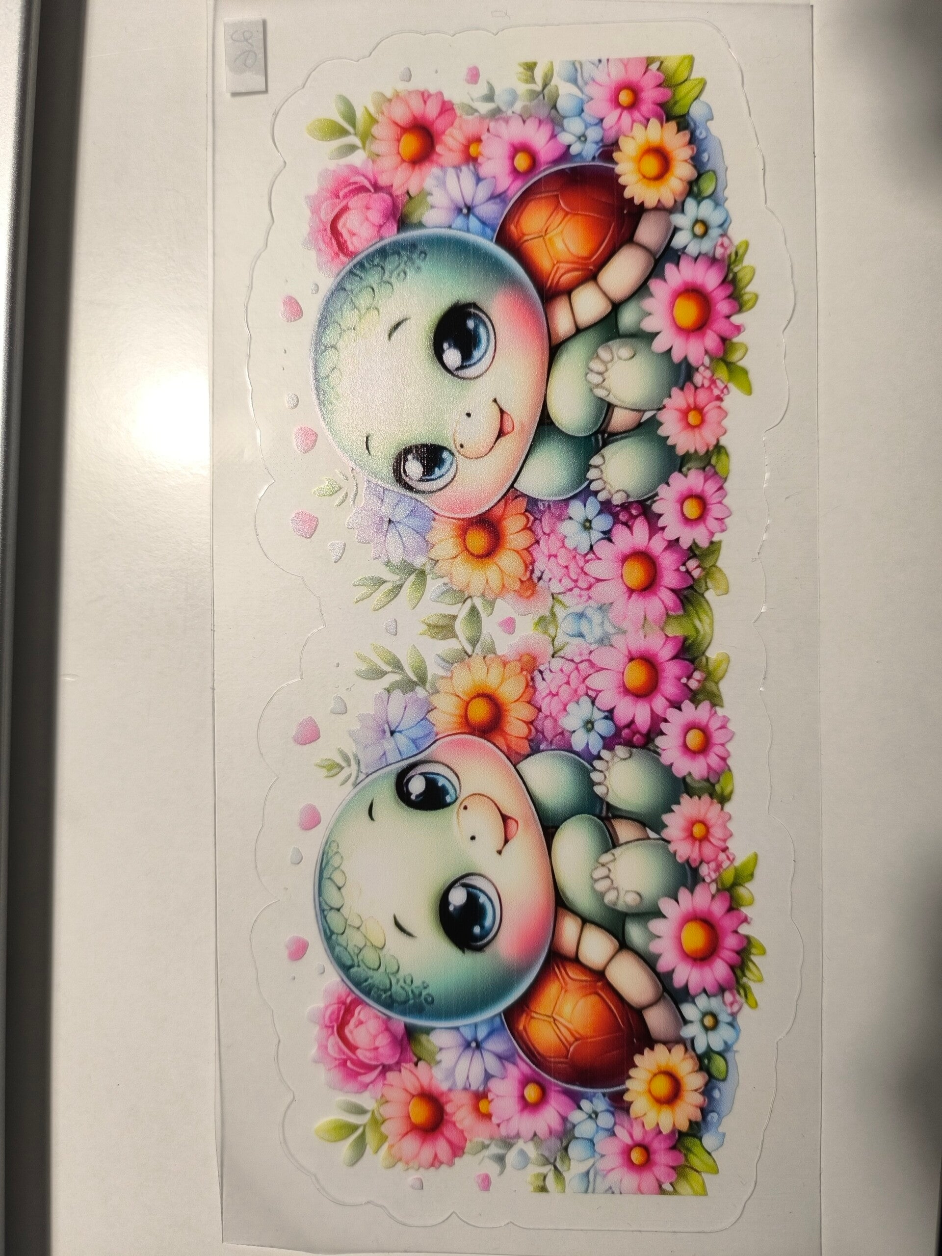 RubOn "360°" 26 - Schildkröten