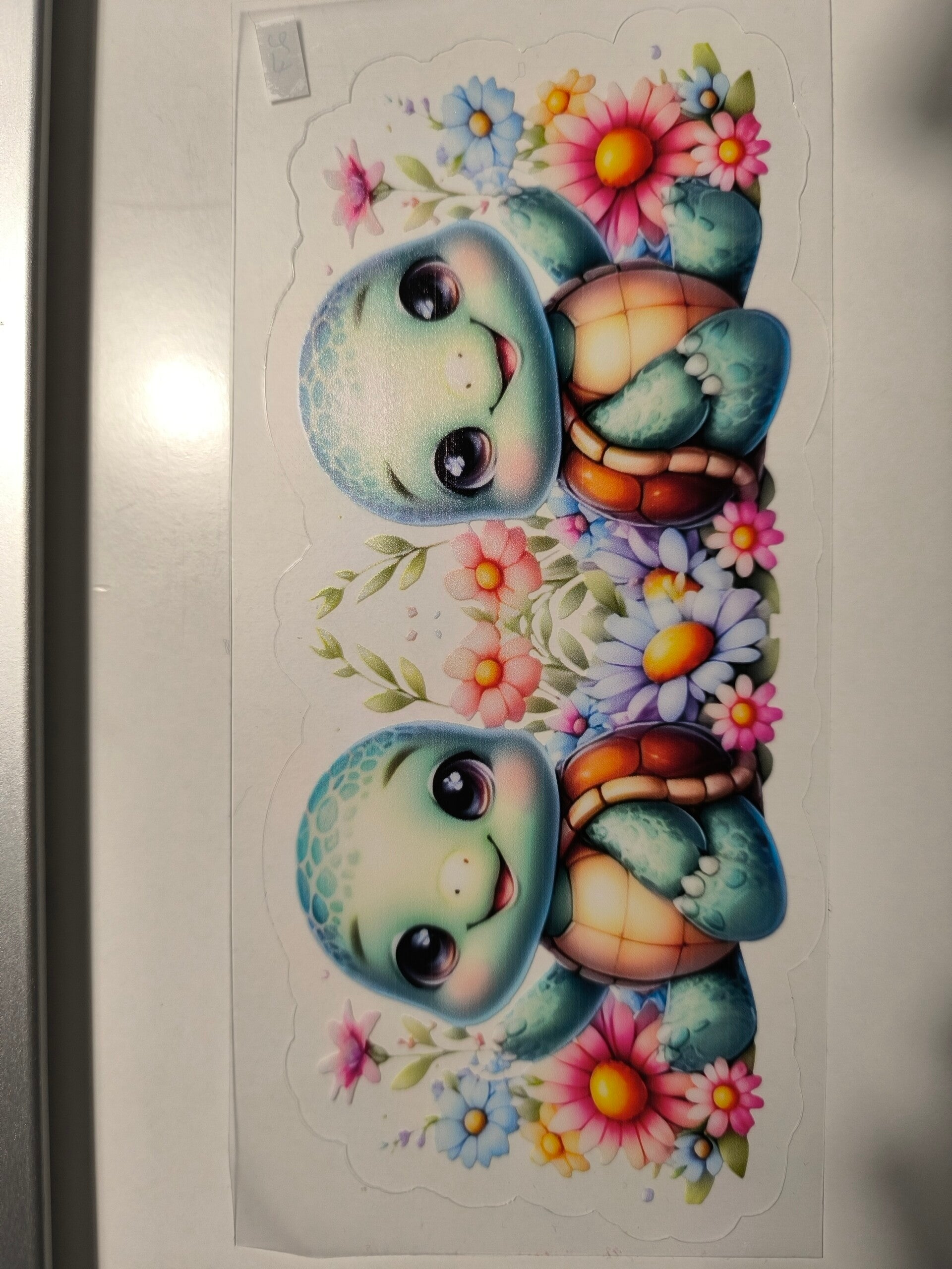 RubOn "360°" 27 - Schildkröten