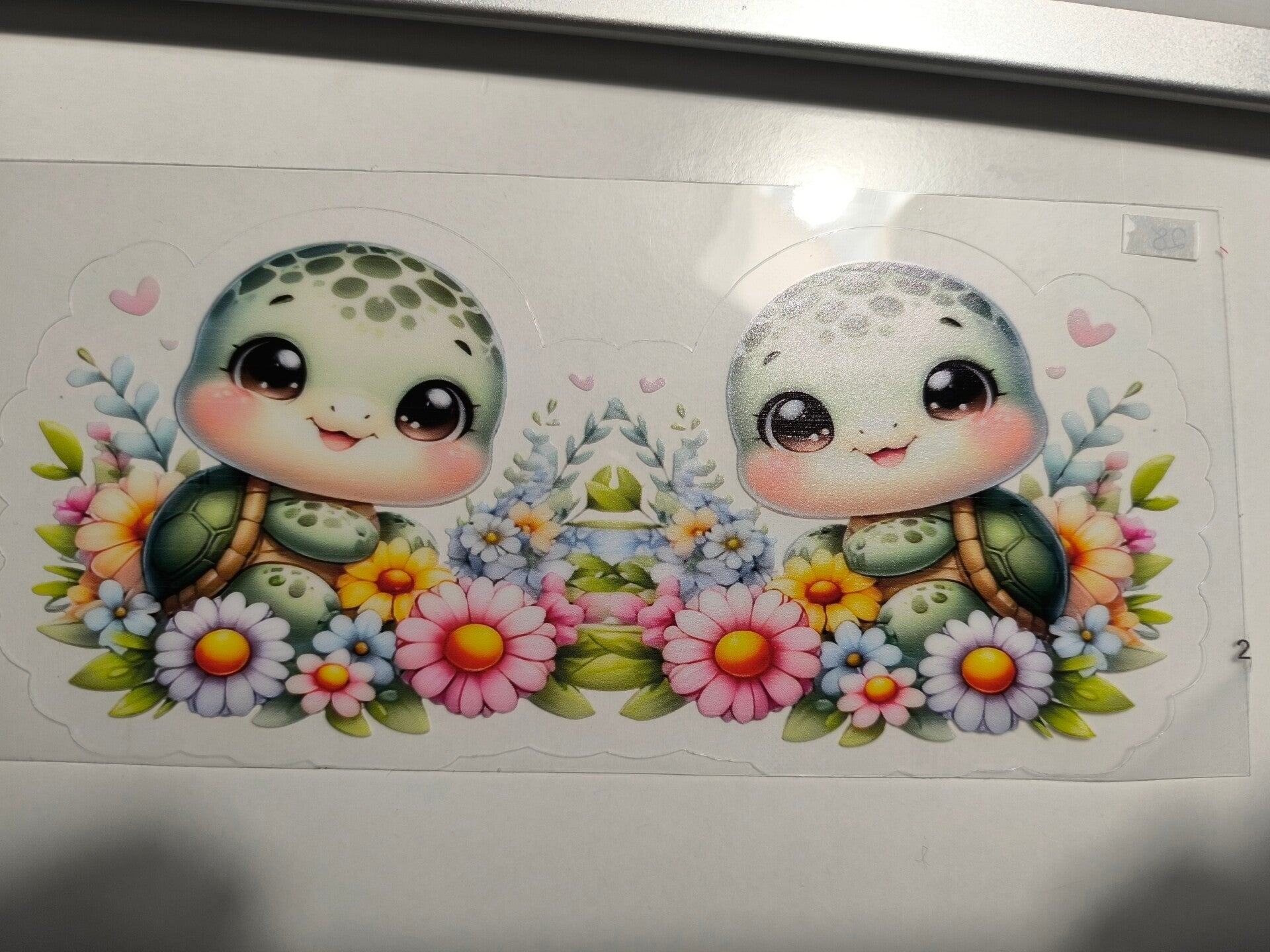 RubOn "360°" 28 - Schildkröten