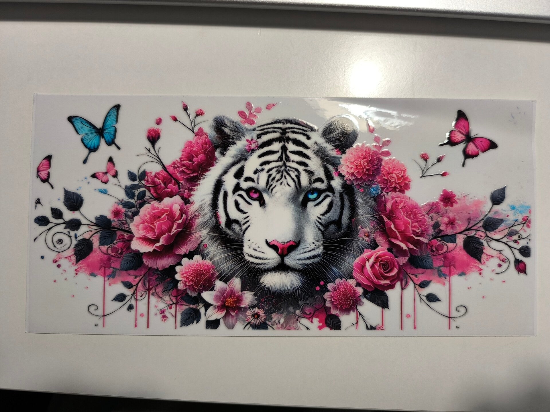 RubOn "360°" 7 - Weißer Tiger