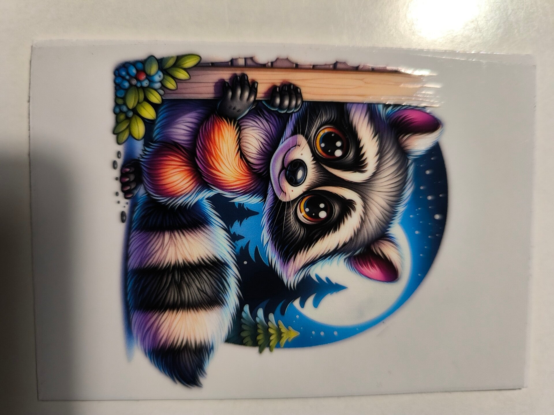 RubOn "S" 17 - Waschbär