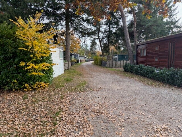 Natuur rondom Camping in ermelo