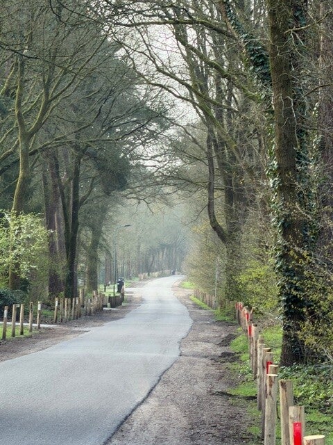 wandelroutes naast camping bosgenoegen- de camping op de veluwe