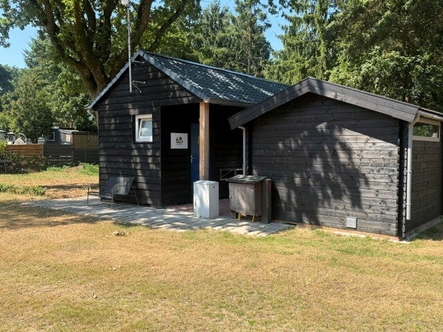 paddestoelen die groeien op camping in ermelo