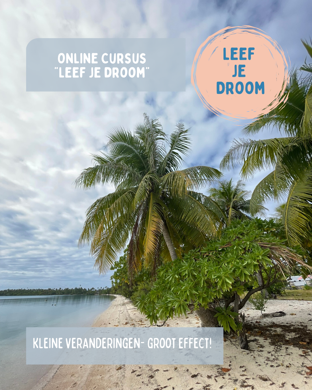 Online cursus: Leef je droom