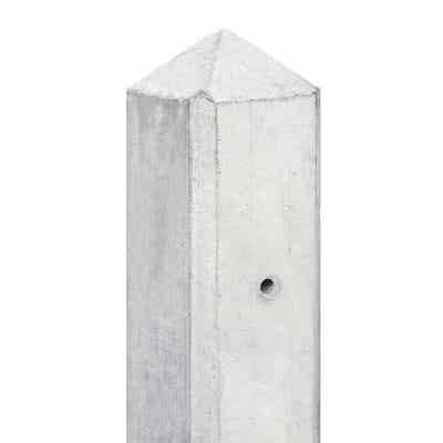 Beton paal witgrijs 280 10x10 T-paal