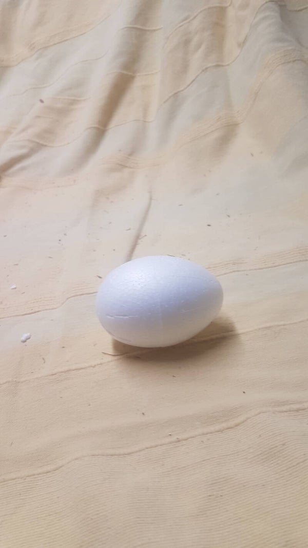 Piepschuim ei vol 8cm 10057