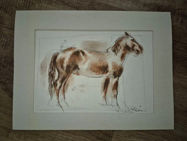Original Pferdezeichnung Bild mit Pferd  – Pastell/Kohle auf Papier, Vintage mit Passepartout