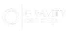 G ravity