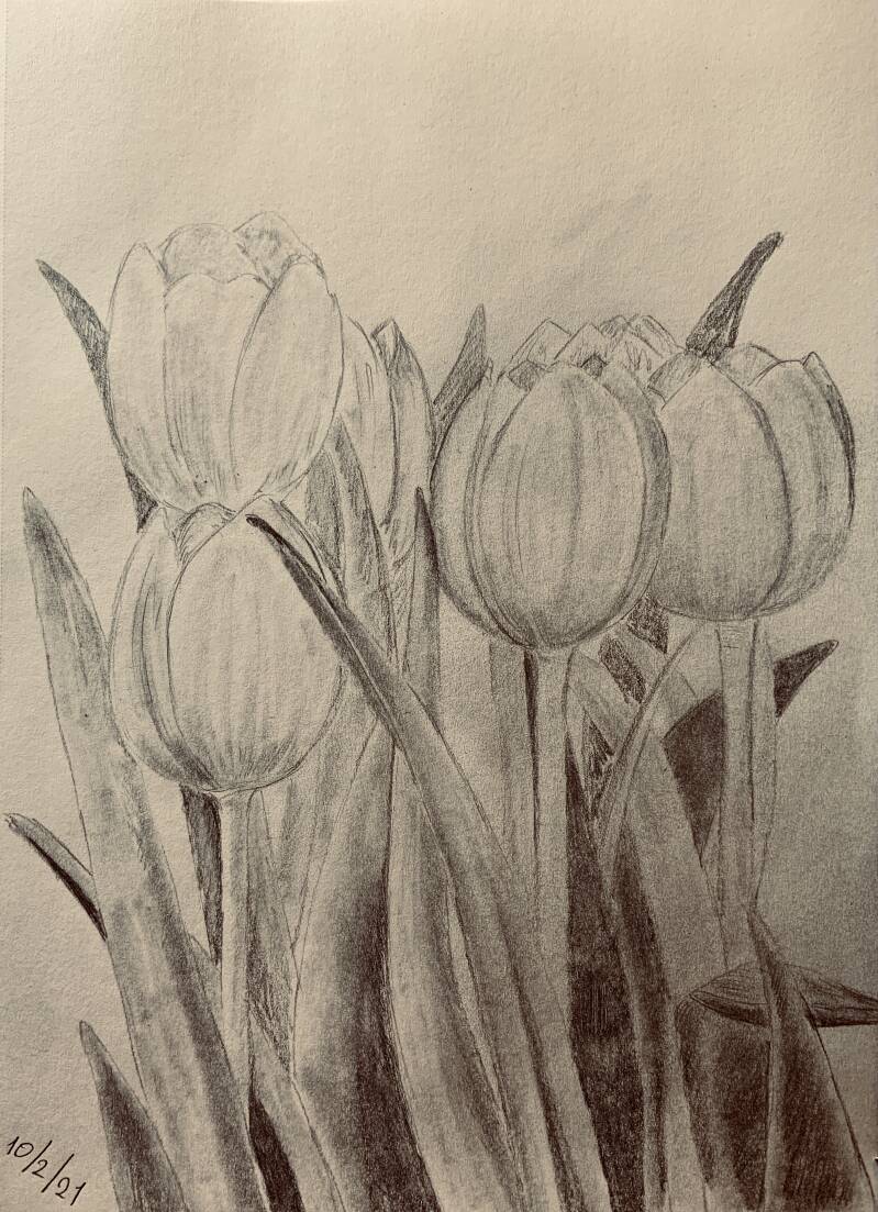 A drawing a day 10 February 2021