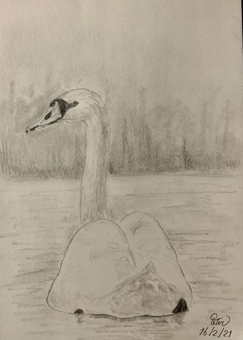 A drawing a day 16 February 2021