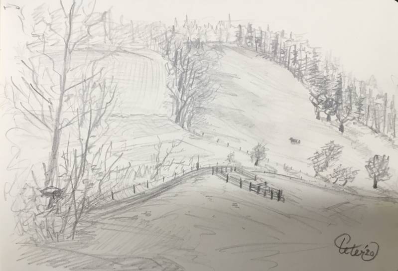 Sketch Meadow view