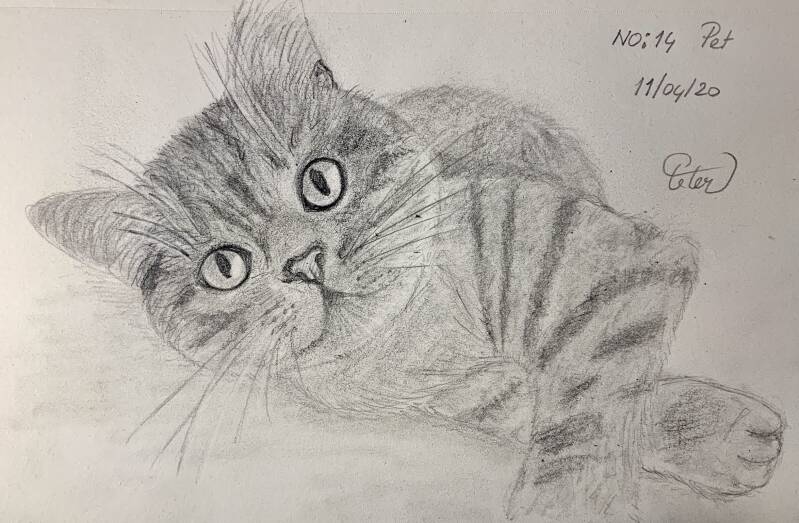 A drawing a day Pet
