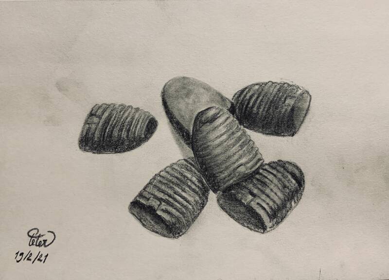 A drawing a day 19 February 2021