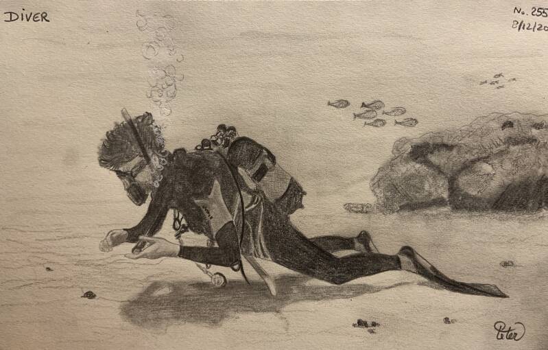 A drawing a day Diver 