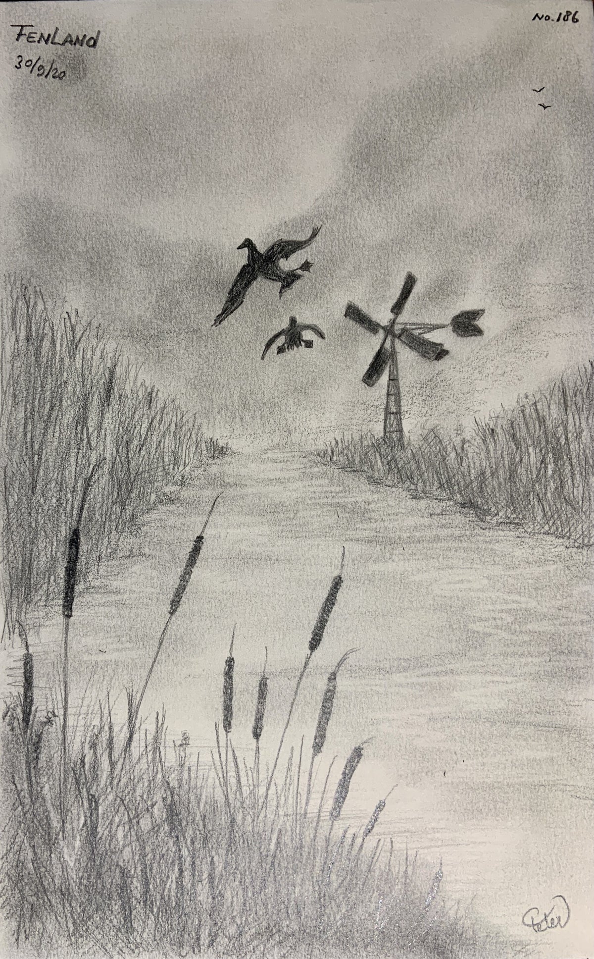 Drawings 181-210 2020 / A Drawing a Day 2020 / A Drawing a Day ...