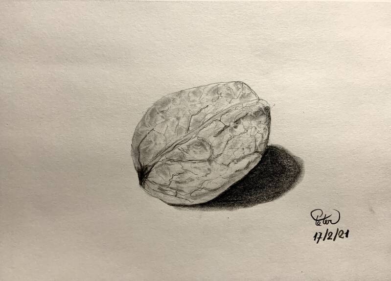 A drawing a day 17 February 2021