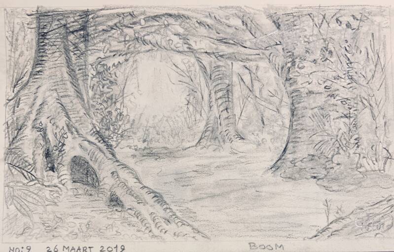 A drawing a day Bomen trees 