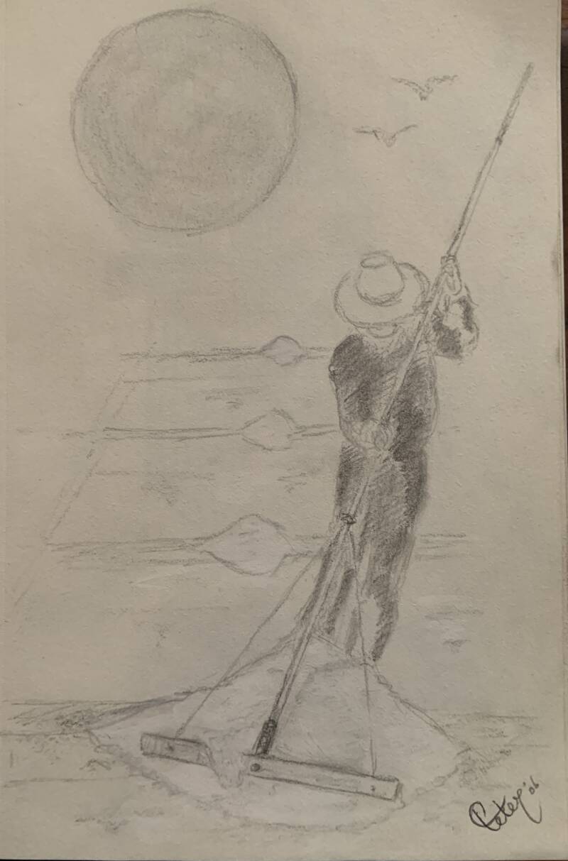 Sketch Salt fields Pornic