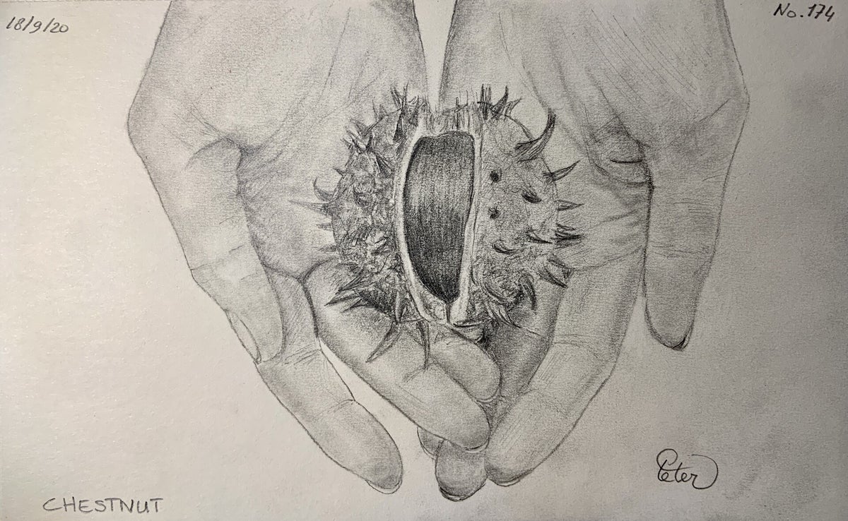 Drawings 151-180 2020 / A Drawing a Day 2020 / A Drawing a Day ...