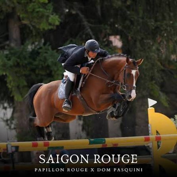 Saïgon Rouge