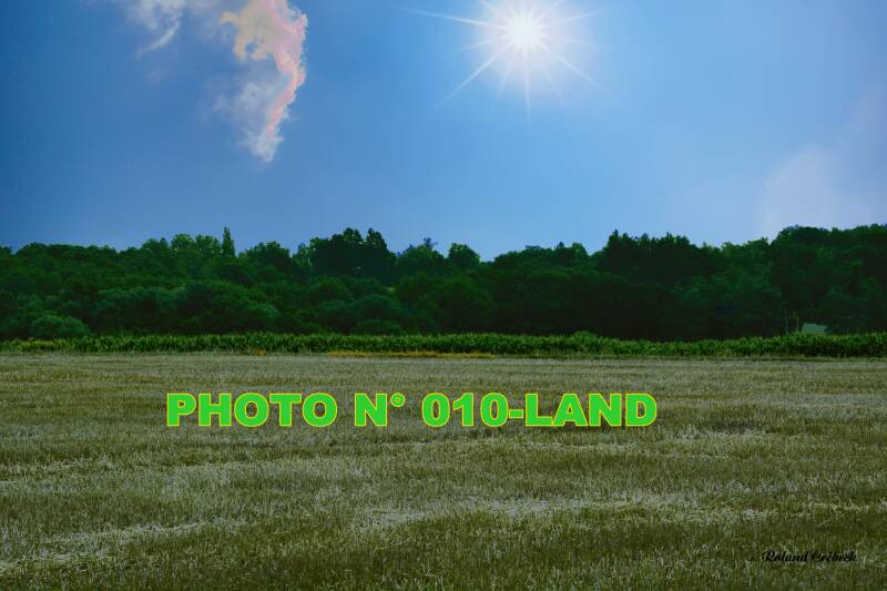 010_land.jpg