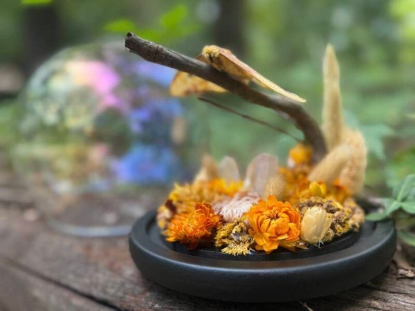 Imperial Marigold Gardens