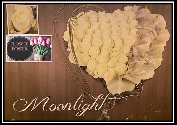 Best Friends Forever