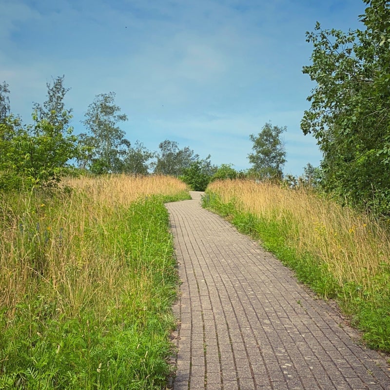 ga eens wandelen terhills maasmechelen 24