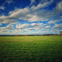 00B9BBD2-AF88-4A70-80AB-0515B9A55FAD.jpeg