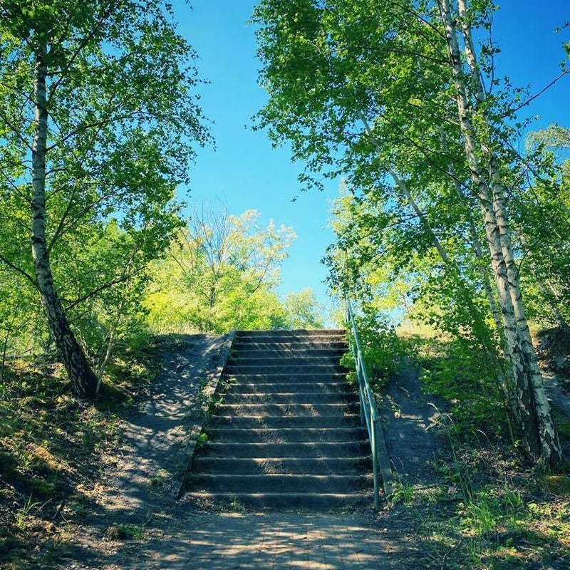 ga eens wandelen terhills maasmechelen 6.jpg