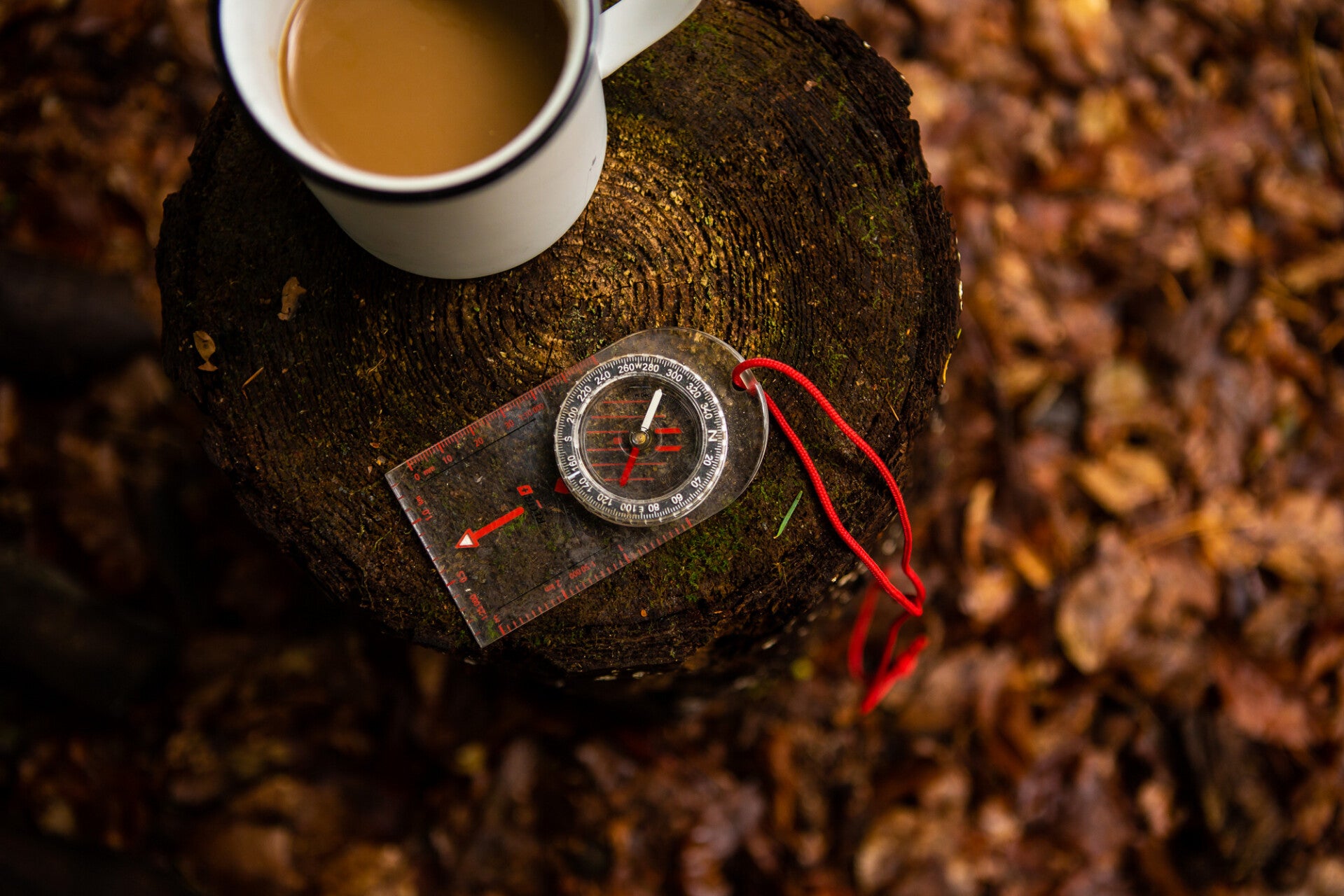 Met rijp bedekte herfstbladeren in het gras, detailfoto die rust en natuurbeleving tijdens outdoor coaching benadrukt.