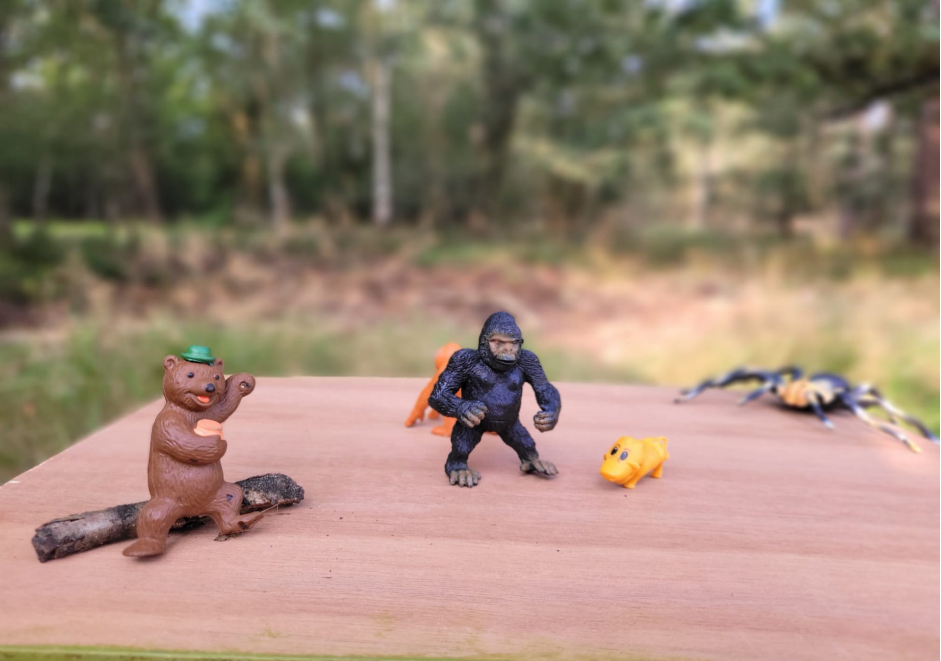 Speelgoeddieren op een houten plank in het bos tijdens outdoor coaching, gebruikt om een hulpvraag zichtbaar te maken en verandering te verkennen.