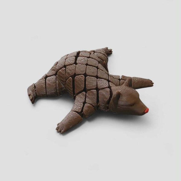 Flexi Bear – Sensory Play That Moves With You