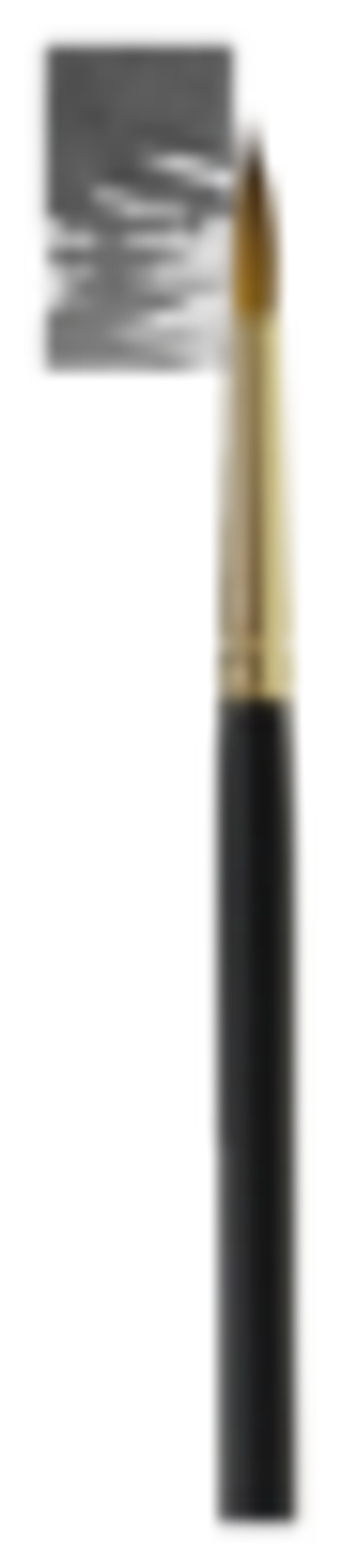 Penselen Rembrandt serie 241